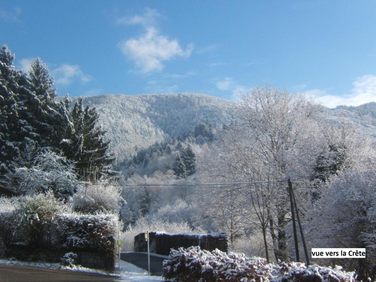 Le Chalet Bel Air Oderen Exterior photo